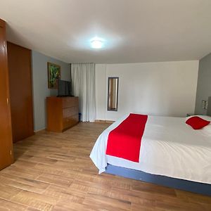 Apartamento de 1 Dormitorio